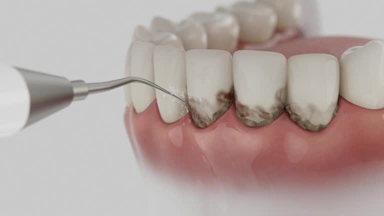 Reliable Dental contractor in Port Charlotte, FL by Dentist Open Now